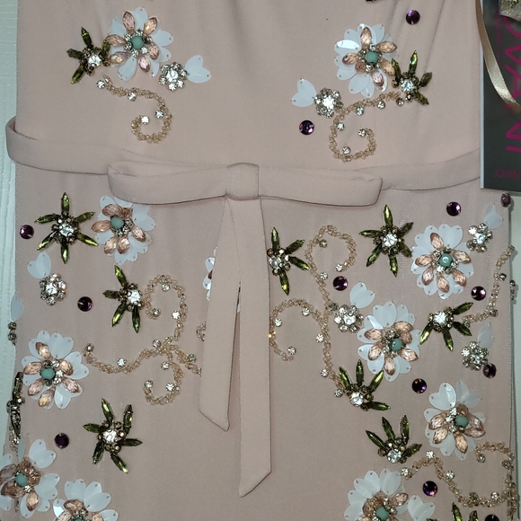 Jovani Gown with crystal applique - Picture 2 of 6